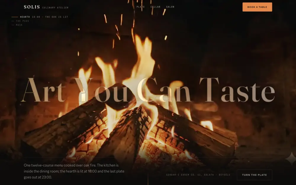 Solis website template preview