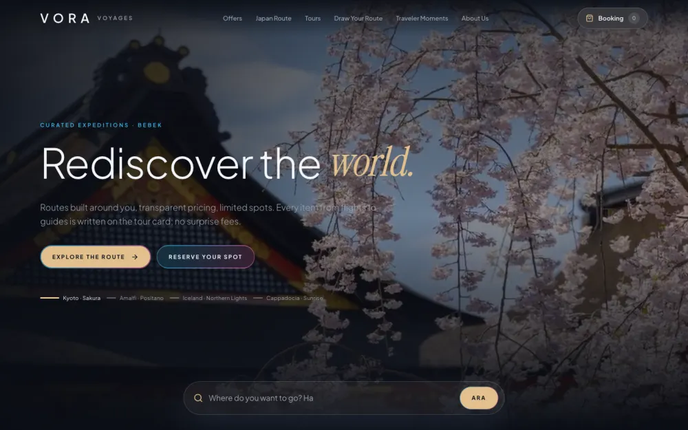 Vora website template preview