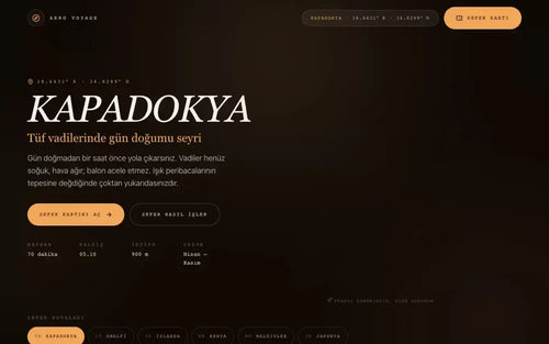 Aero Voyage web teması